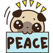 Cute pug puppy