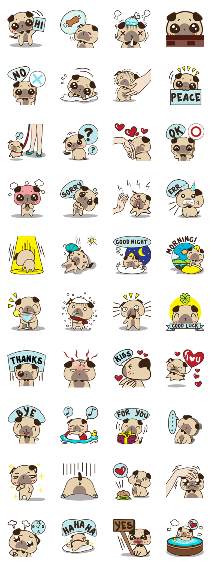Cute pug puppy