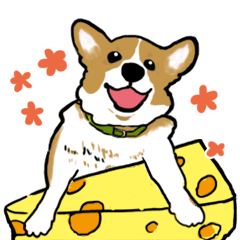 Cheese Welsh Corgi