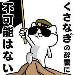 "KUSANAGI"name/Military cat