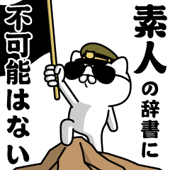 "SHIROUTO"name/Military cat