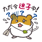Hamsters and cats go out together.