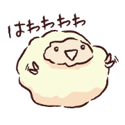 wool and sheep
