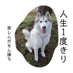 NOZOMI_20200216020913