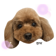 sumire_20200216115007