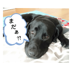 monmon_20200216132059