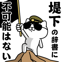 "TSUTSUMISHITA"name/Military cat