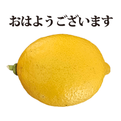 lemon kokusan 4