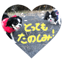 nanami_20200216135645