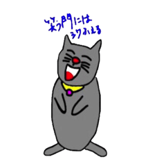 Cat Aosuke