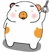 3-color bear.