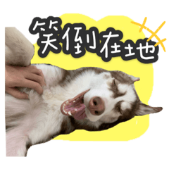 哈啾寶貝孩兒