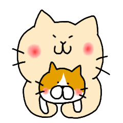 Massage cat and cat
