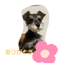 sumire_20200216194436