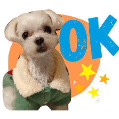 屁孩柚