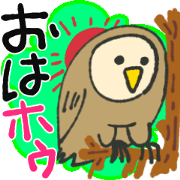 Owl daily conversation!