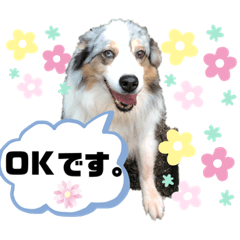 sayuri_20200216215140