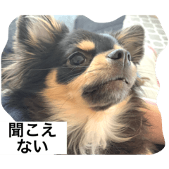 hikari_20200216224452