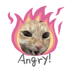 miyuu_20200216230346