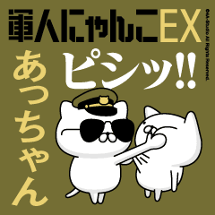 "At-CHAN"name/Movie Military cat