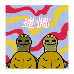 黃腿陸龜—小渡、魯魯  的奇幻日誌