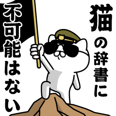 "CAT"name/Military cat2