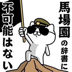 "BABAZONO"name/Military cat