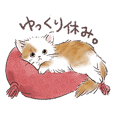 CUTE CATS Sticker by KANSAI-dialect