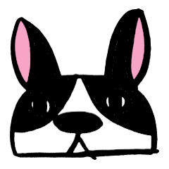Boston Terrier Kojiro Senior-Application