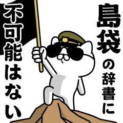 "SHIMABUKURO"name/Military cat