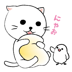 White cat's and Java sparrow