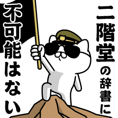 "NIKAIDO"name/Military cat