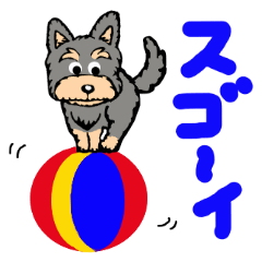 Juggler dog