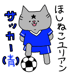 Star cat Julian soccer (blue)
