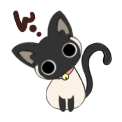 Siamese cat Ann