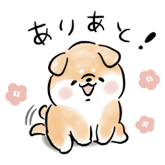 Shiba Inu Dog Attention Seeker Line Stickers Line Store