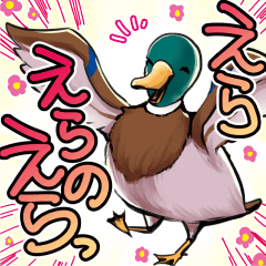 Super funny Duck