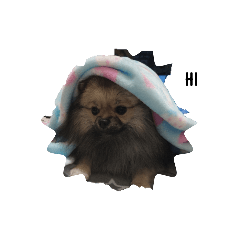 直日