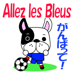 フランスのサッカー犬