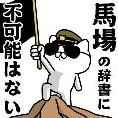 "BABA"name/Military cat