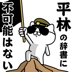 "HIRABAYASHI"name/Military cat
