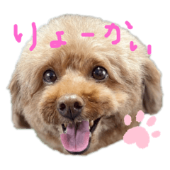 maya_202002161433591