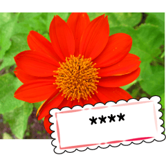 Flowers and greeting cards for you1