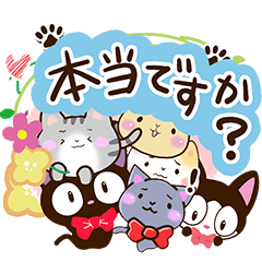Sticker of cats. 6 cute cats! 3rd type