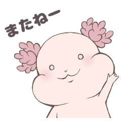 Kawaii axolotl with casual Japanese