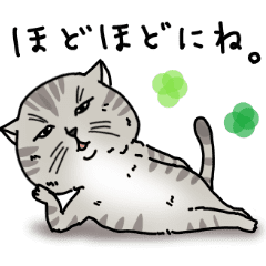 渋猫のいたわり 気遣いセット Line スタンプ Line Store