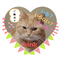 King_20200217145359