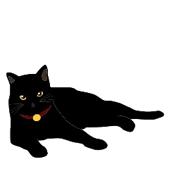 黒猫の大ちゃん