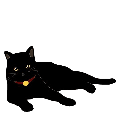 Black Cat Daichan Line Stickers Line Store