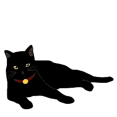 Black Cat Daichan Line Stickers Line Store